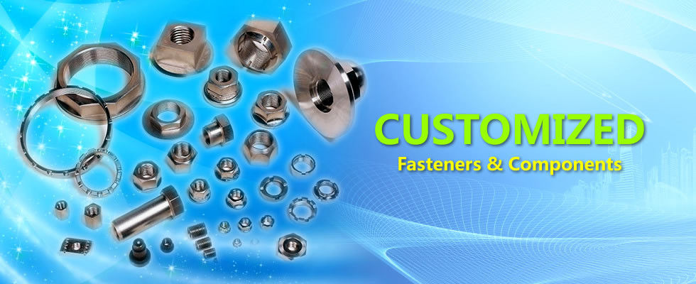 বিশেষ হার্ডওয়্যার হার্ডওয়্যার FASTENERS